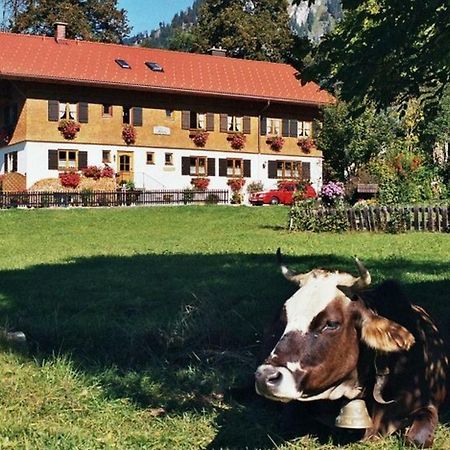 Gaestehaus Hedwig Bad Hindelang Exterior foto