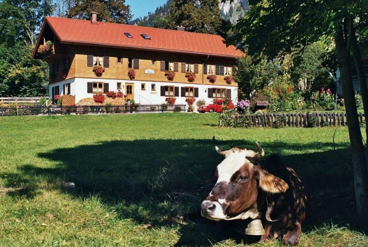 Gaestehaus Hedwig Bad Hindelang Exterior foto